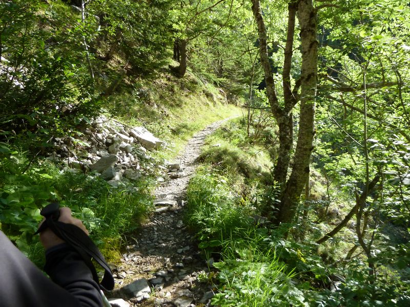 congerman_2011_087.jpg