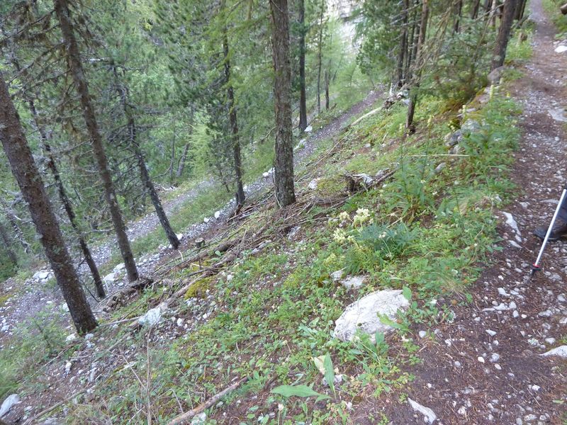 congerman_2011_097.jpg