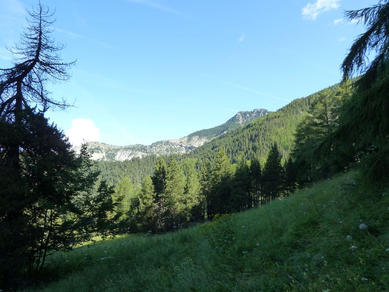 congerman_2011_105.jpg