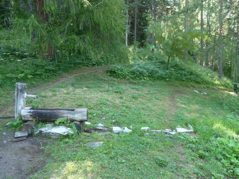 congerman_2011_117.jpg