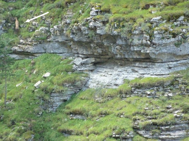 congerman_2011_137.jpg