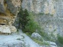 congerman_2011_043.jpg
