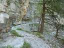congerman_2011_047.jpg