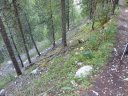 congerman_2011_097.jpg