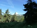 congerman_2011_103.jpg
