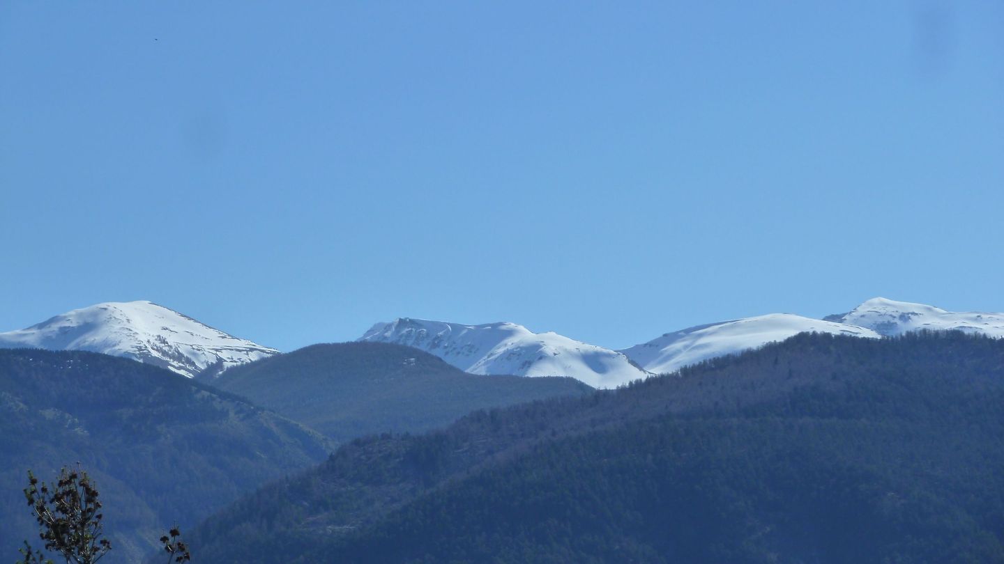 cotage_soleil_avr_2017_047.JPG