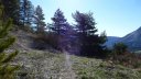cotage_soleil_avr_2017_023.JPG