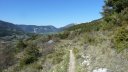 cotage_soleil_avr_2017_053.JPG