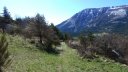 cotage_soleil_avr_2017_071.JPG