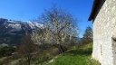 cotage_soleil_avr_2017_087.JPG