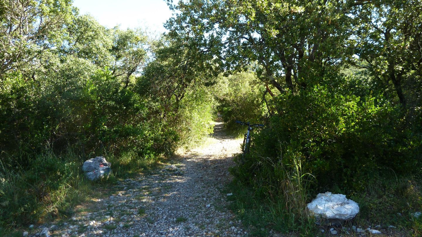 coudon_revest_mai_2017_08.JPG