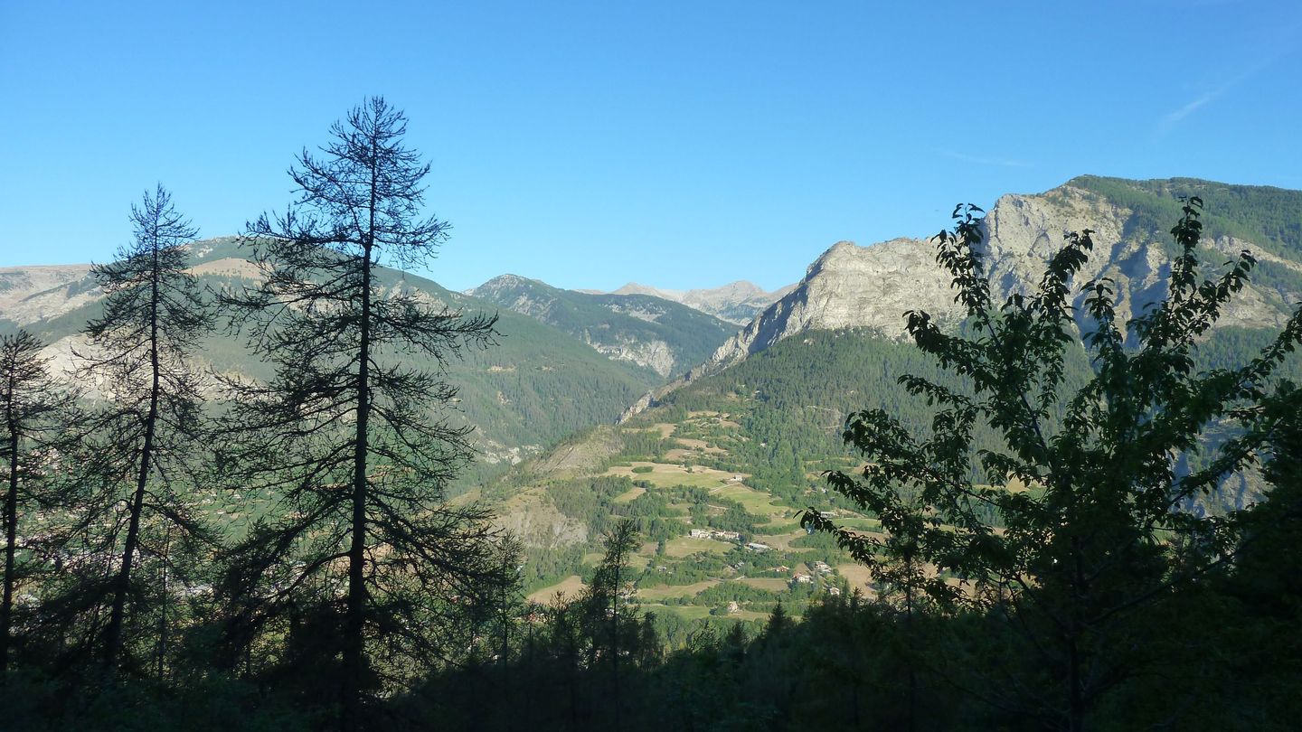 couguyon_2017_016.JPG