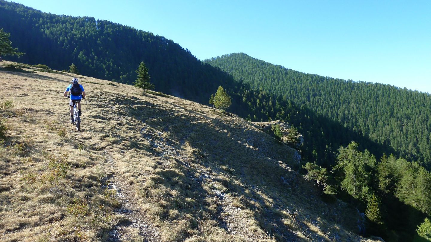couguyon_2017_133.JPG
