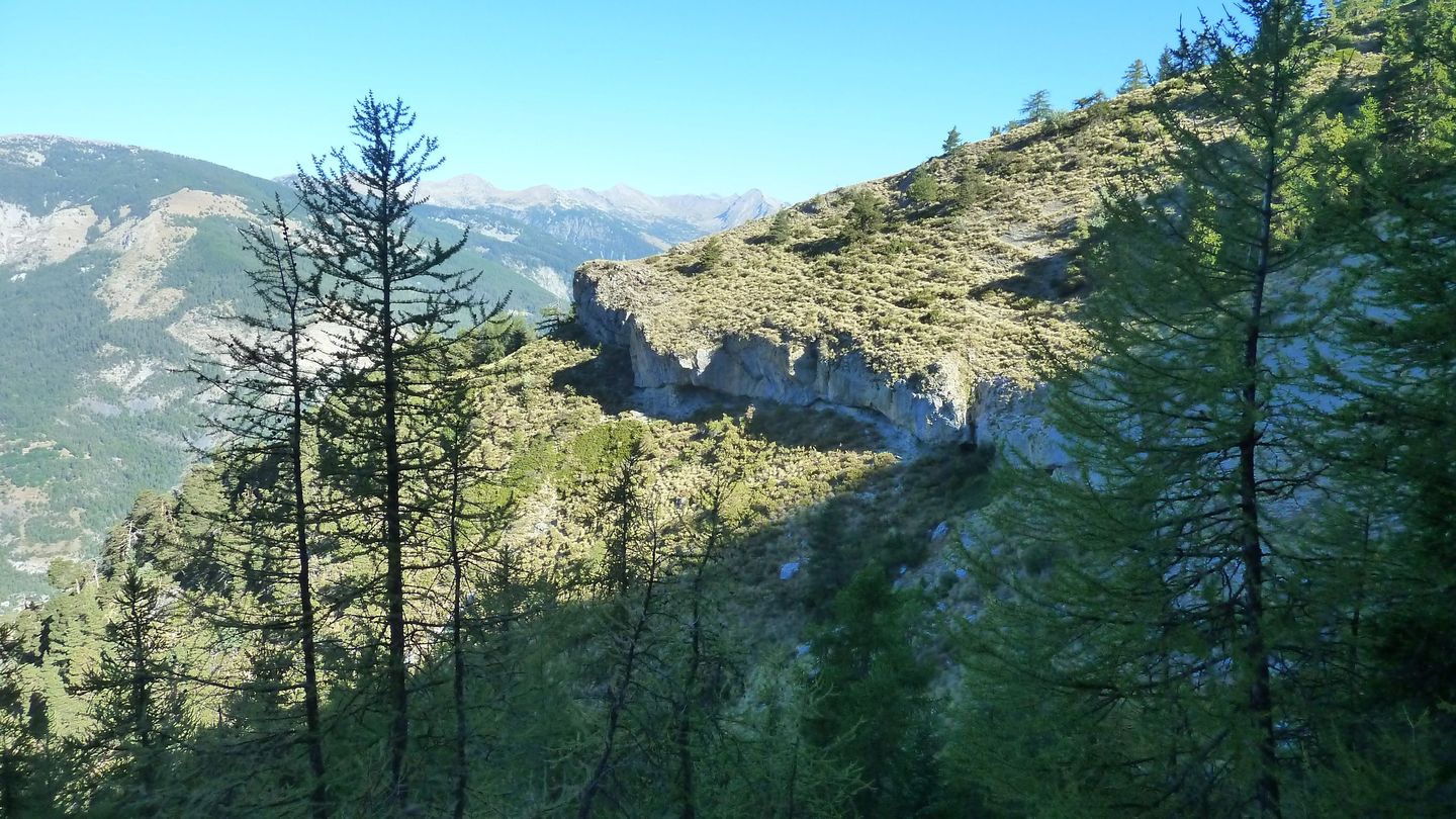 couguyon_2017_151.JPG
