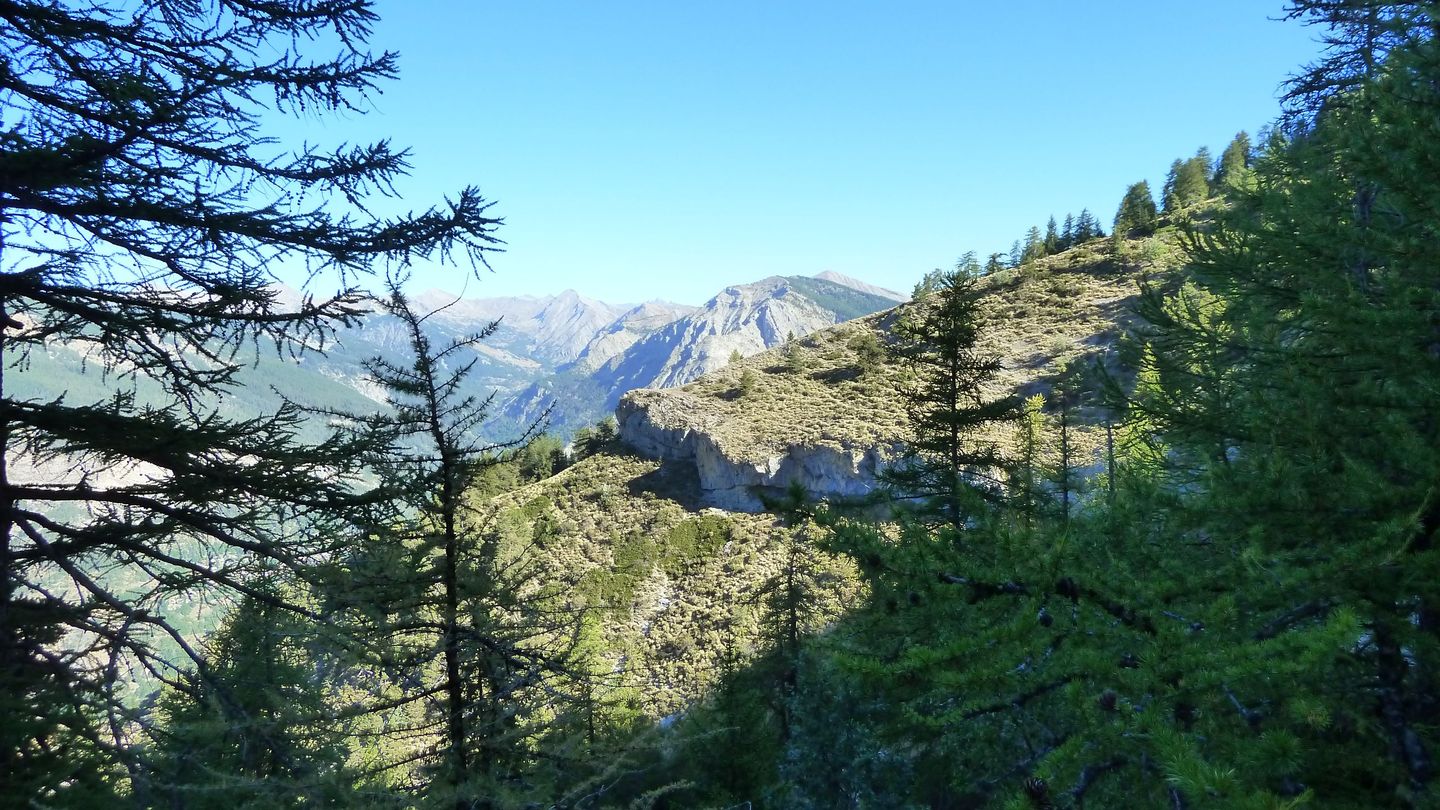 couguyon_2017_163.JPG