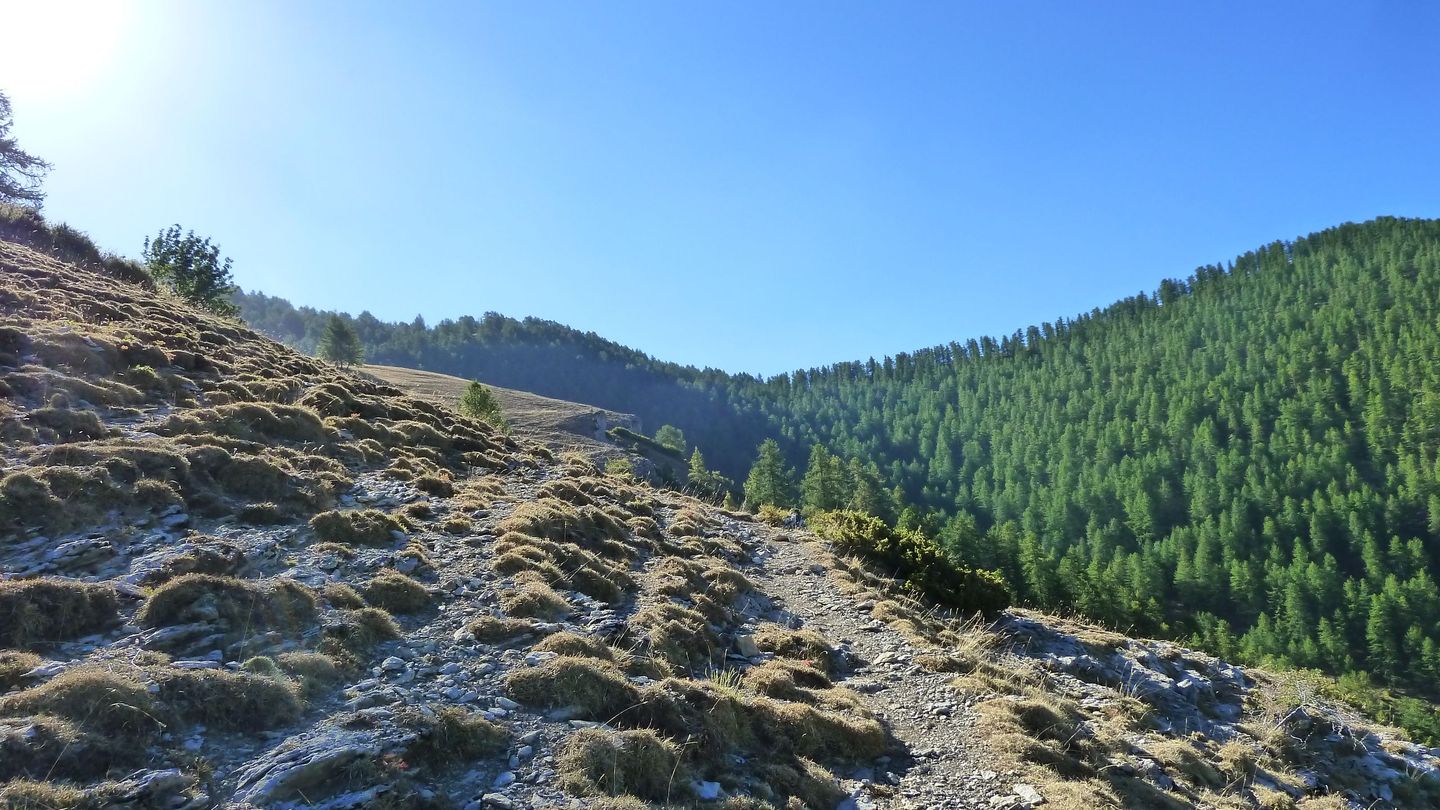 couguyon_2017_178.JPG