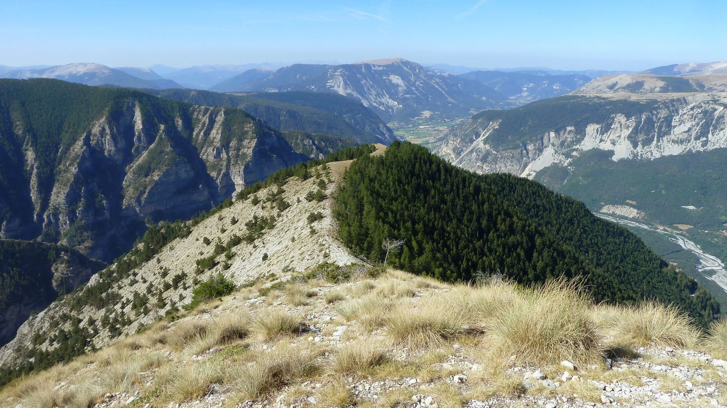 couguyon_2017_295.JPG