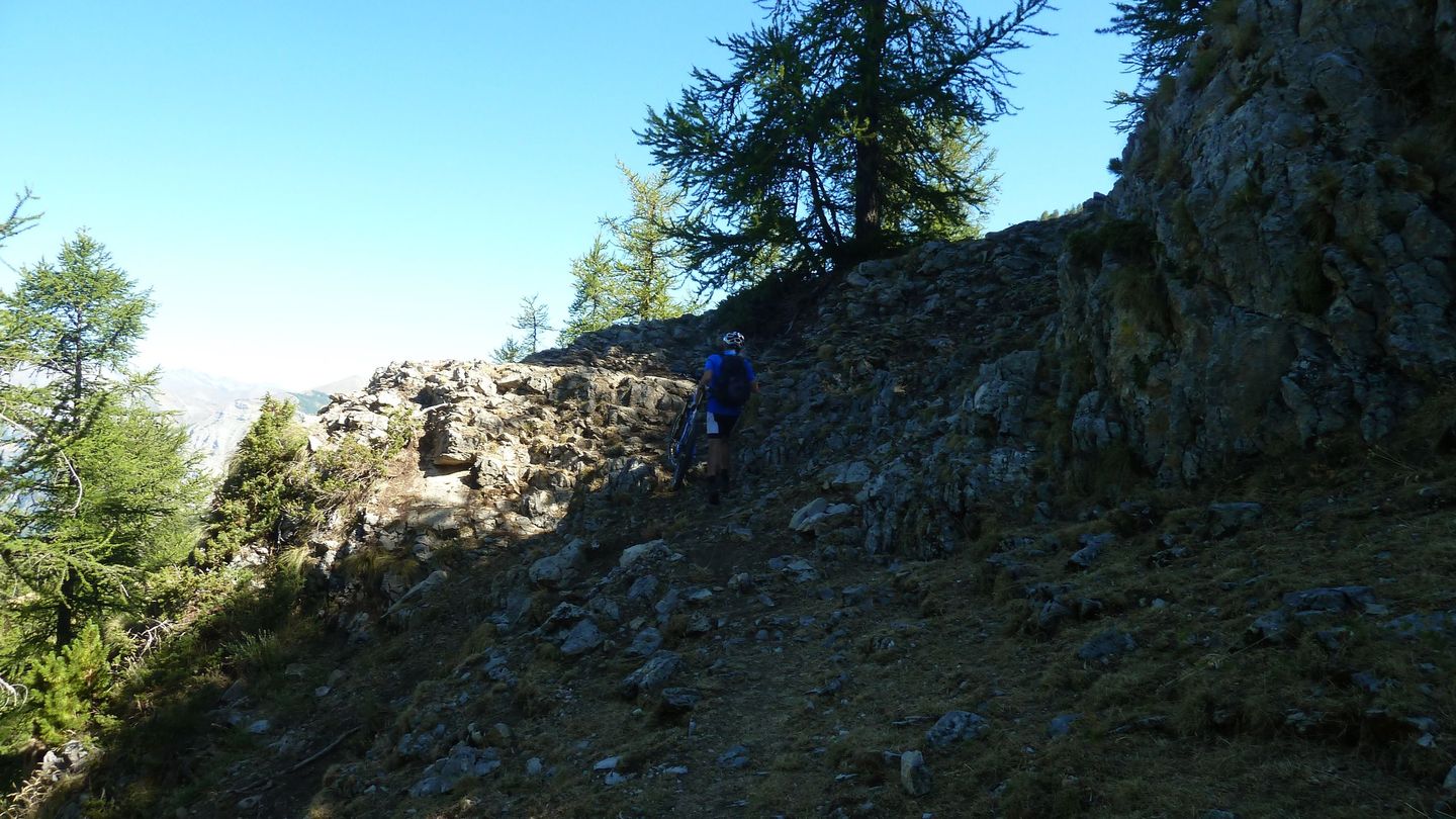 couguyon_2017_331.JPG