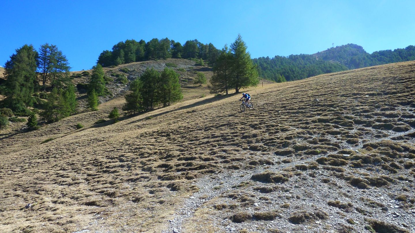 couguyon_2017_343.JPG