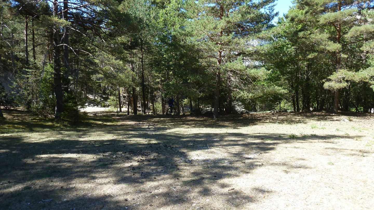 couguyon_2017_361.JPG