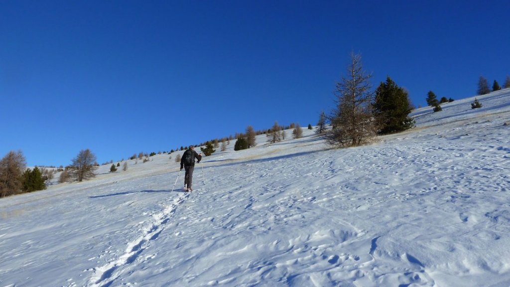 P1100905.JPG