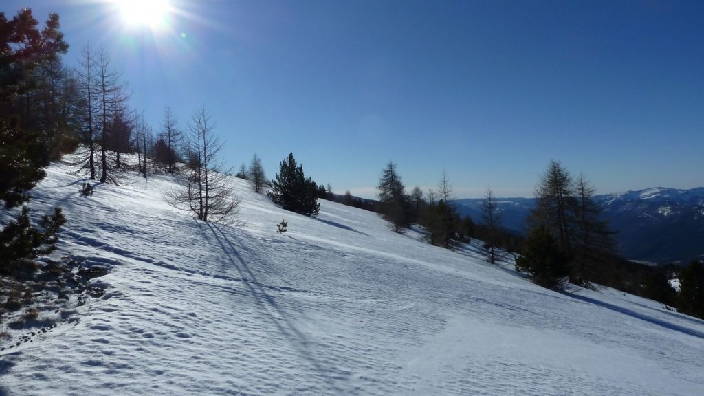 couradour_mars_2015_056.jpg