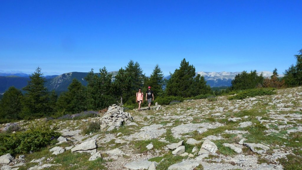 courradour_aout_2014_134.jpg