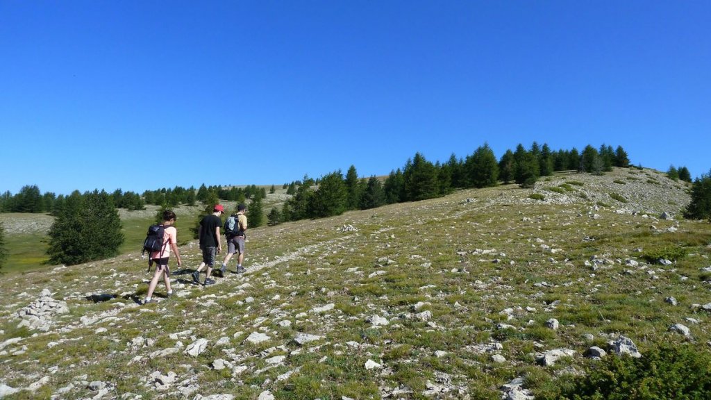 courradour_aout_2014_158.jpg