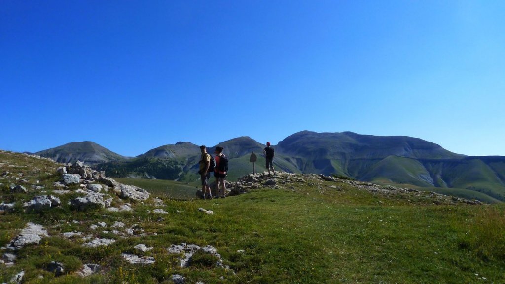 courradour_aout_2014_182.jpg