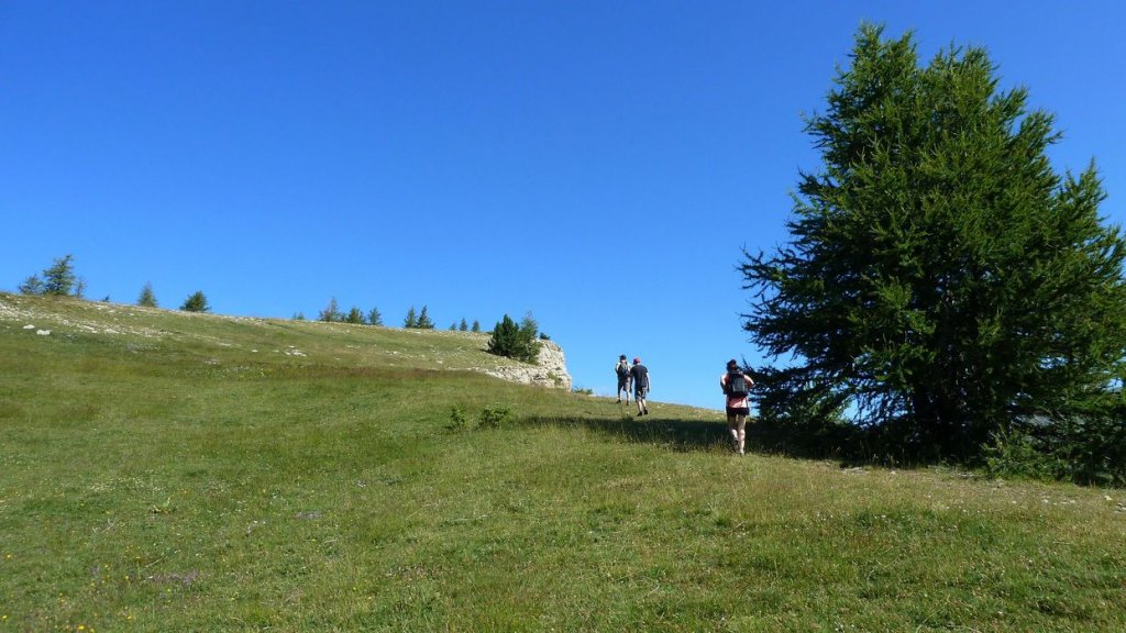 courradour_aout_2014_208.jpg