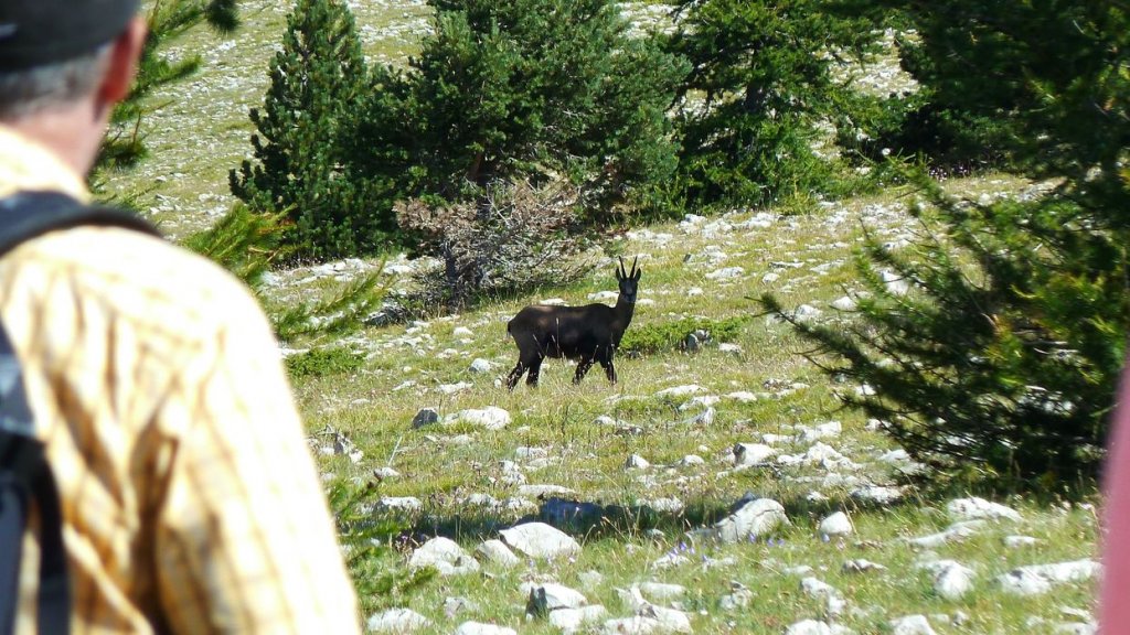 courradour_aout_2014_228.jpg
