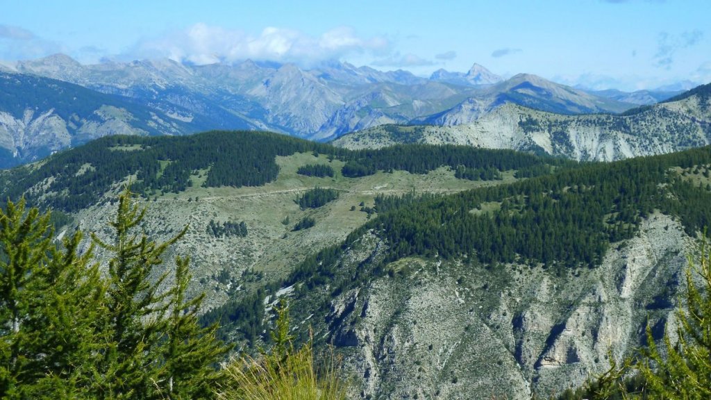 courradour_aout_2014_290.jpg