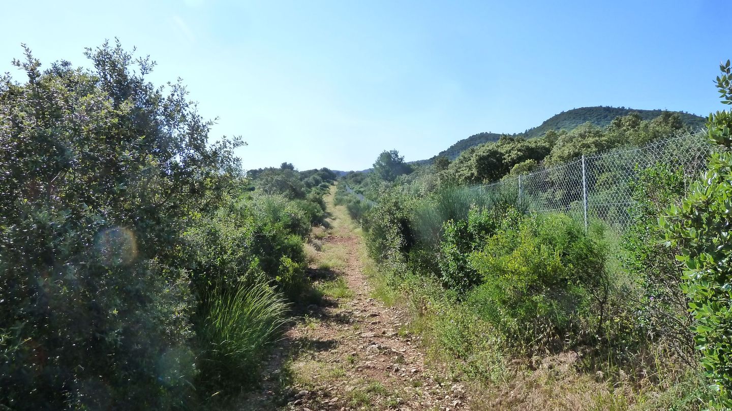 couvent_st_hubert_juin_2018_067.JPG
