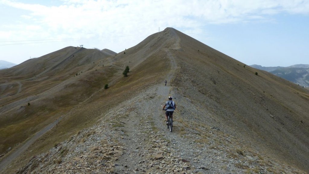crete_autapie_espiniers_2012_014.jpg