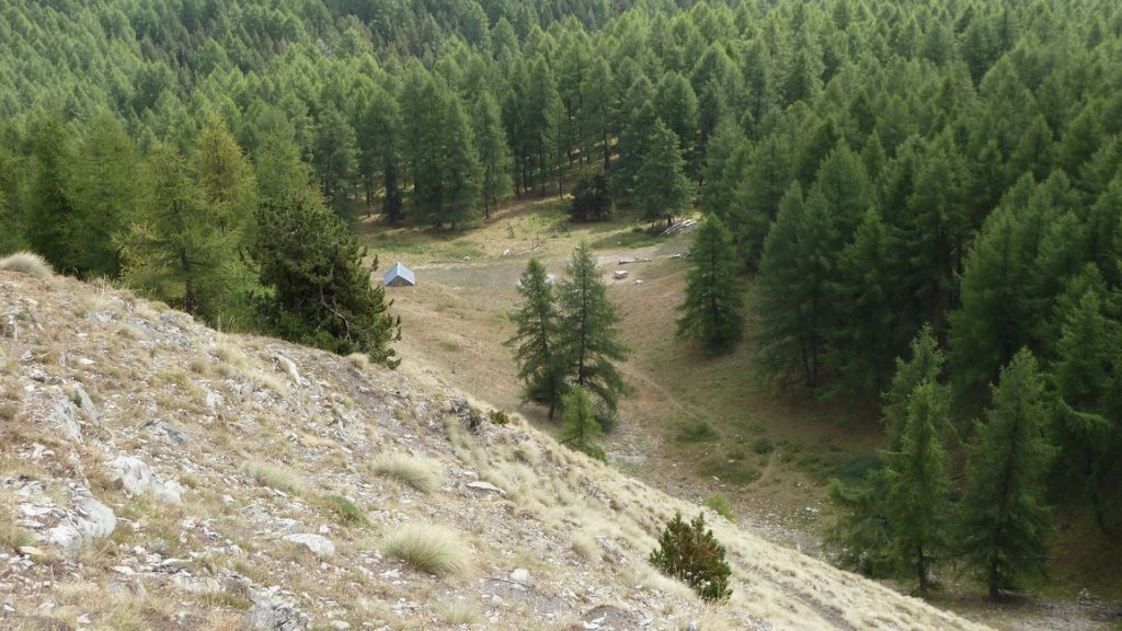 crete_autapie_espiniers_2012_066.jpg