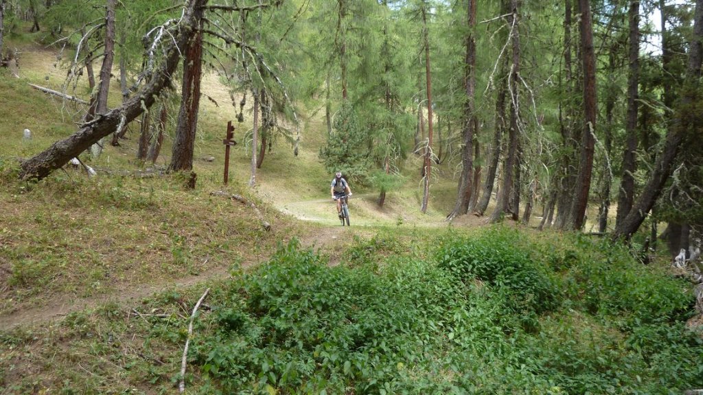 crete_autapie_espiniers_2012_076.jpg