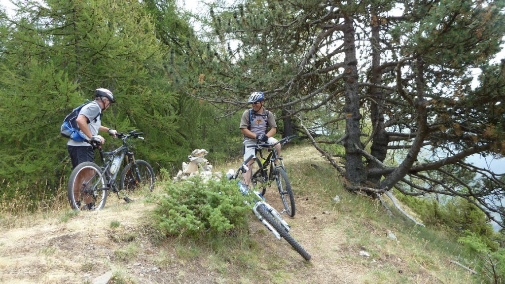 crete_autapie_espiniers_2012_078.jpg