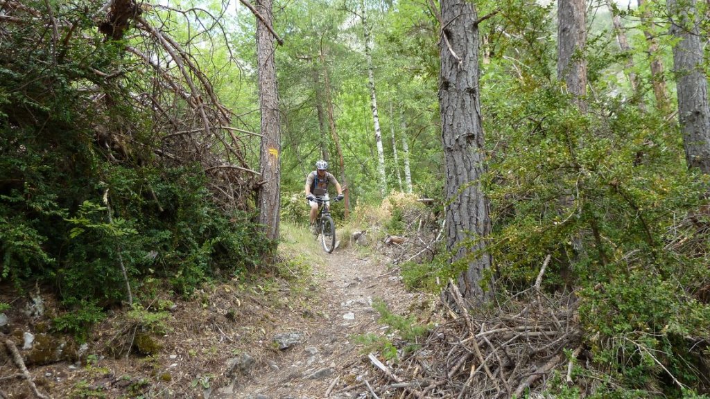 crete_autapie_espiniers_2012_102.jpg
