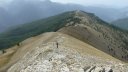 crete_autapie_espiniers_2012_042.jpg