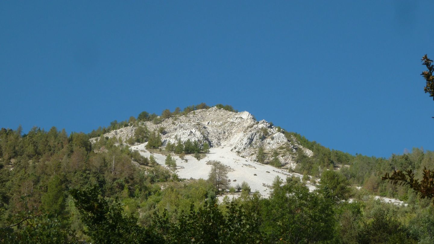 P1010866.JPG