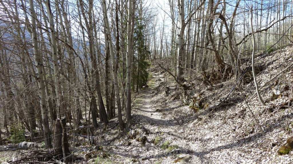 croix_du_puy_vtt_avril_2016_029.JPG