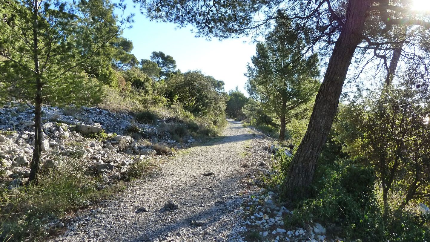 croix_faron_fev_2018_027.JPG