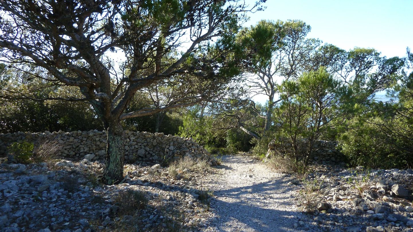 croix_faron_fev_2018_061.JPG