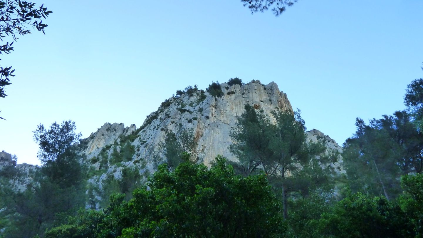 destel_mai_2017_09.JPG