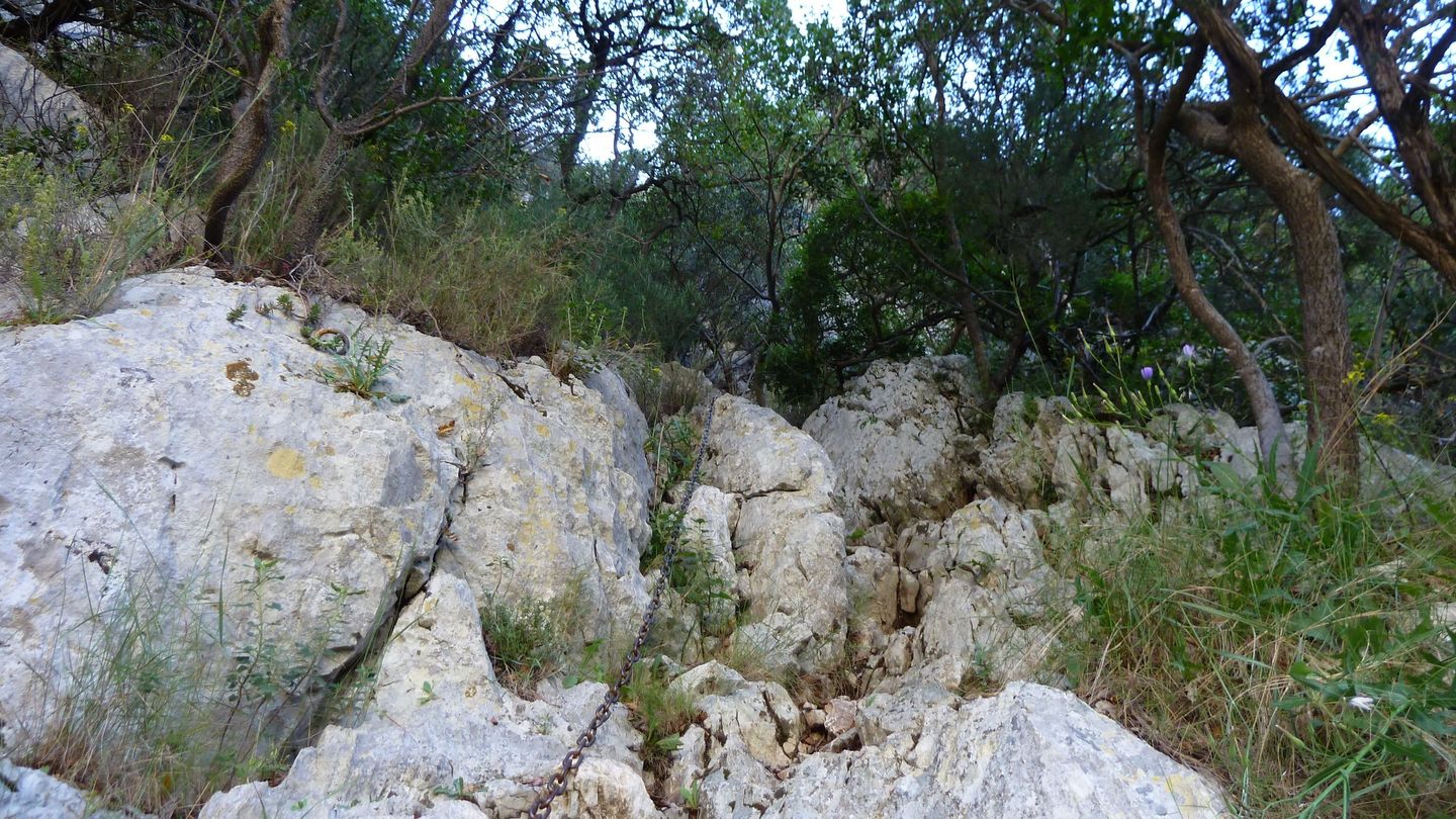destel_mai_2017_36.JPG
