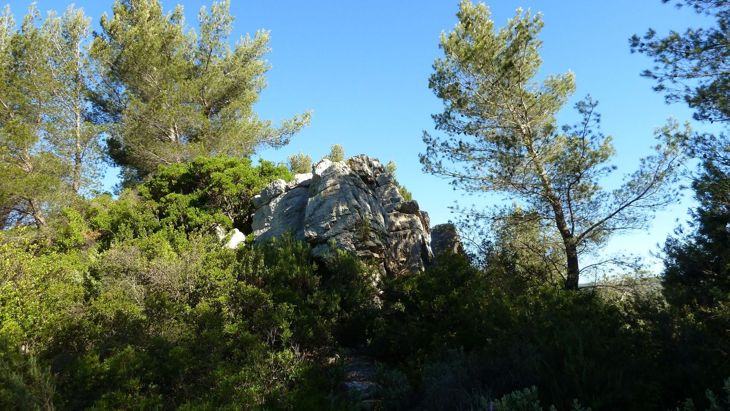 destel_mai_2017_44.JPG