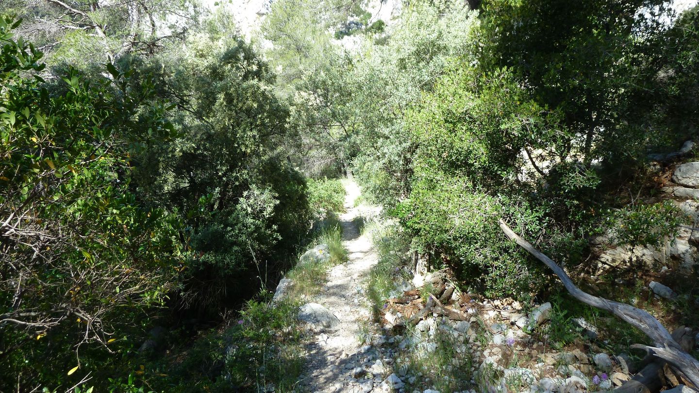 destel_mai_2017_53.JPG