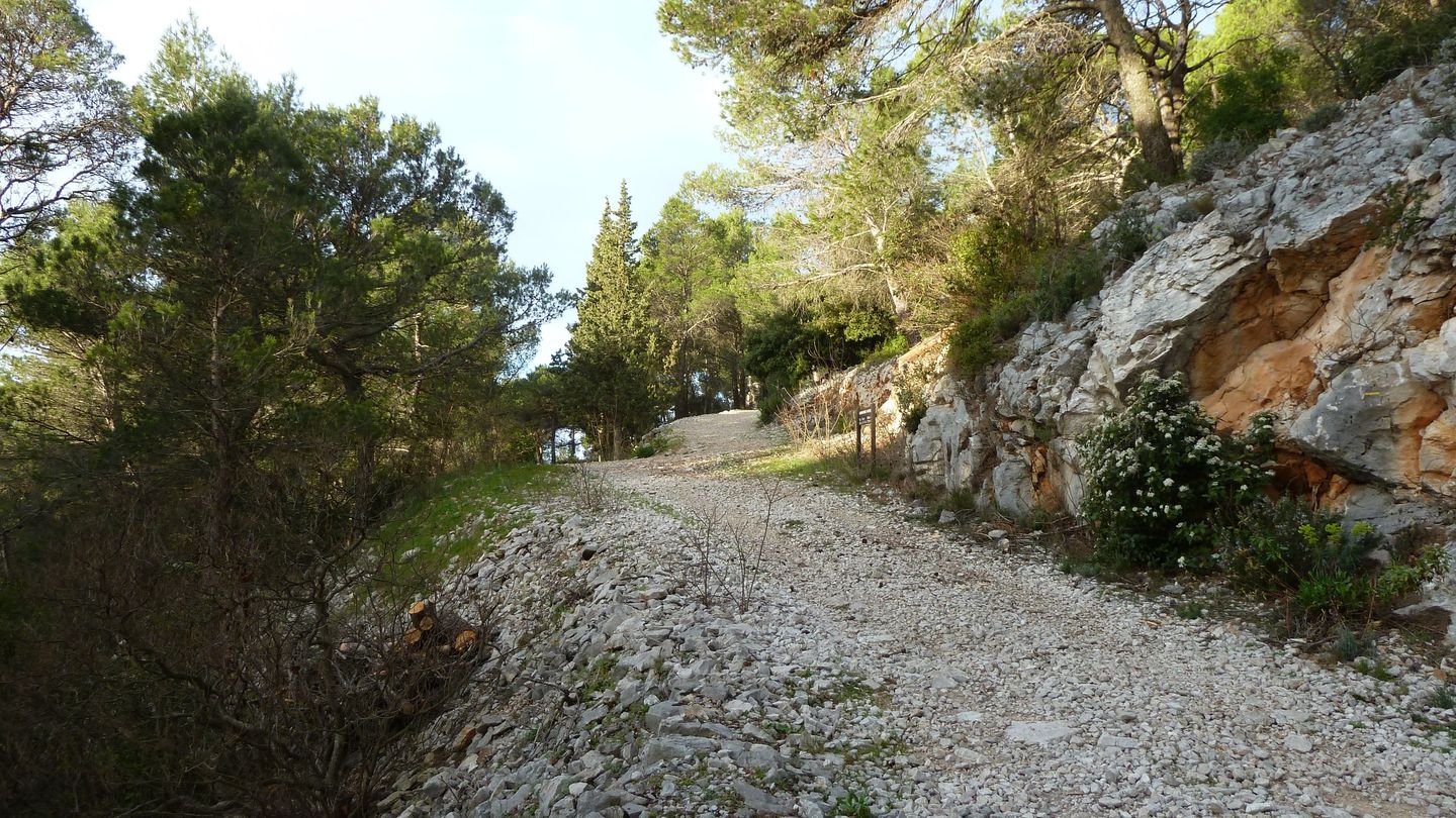 P1000053.JPG