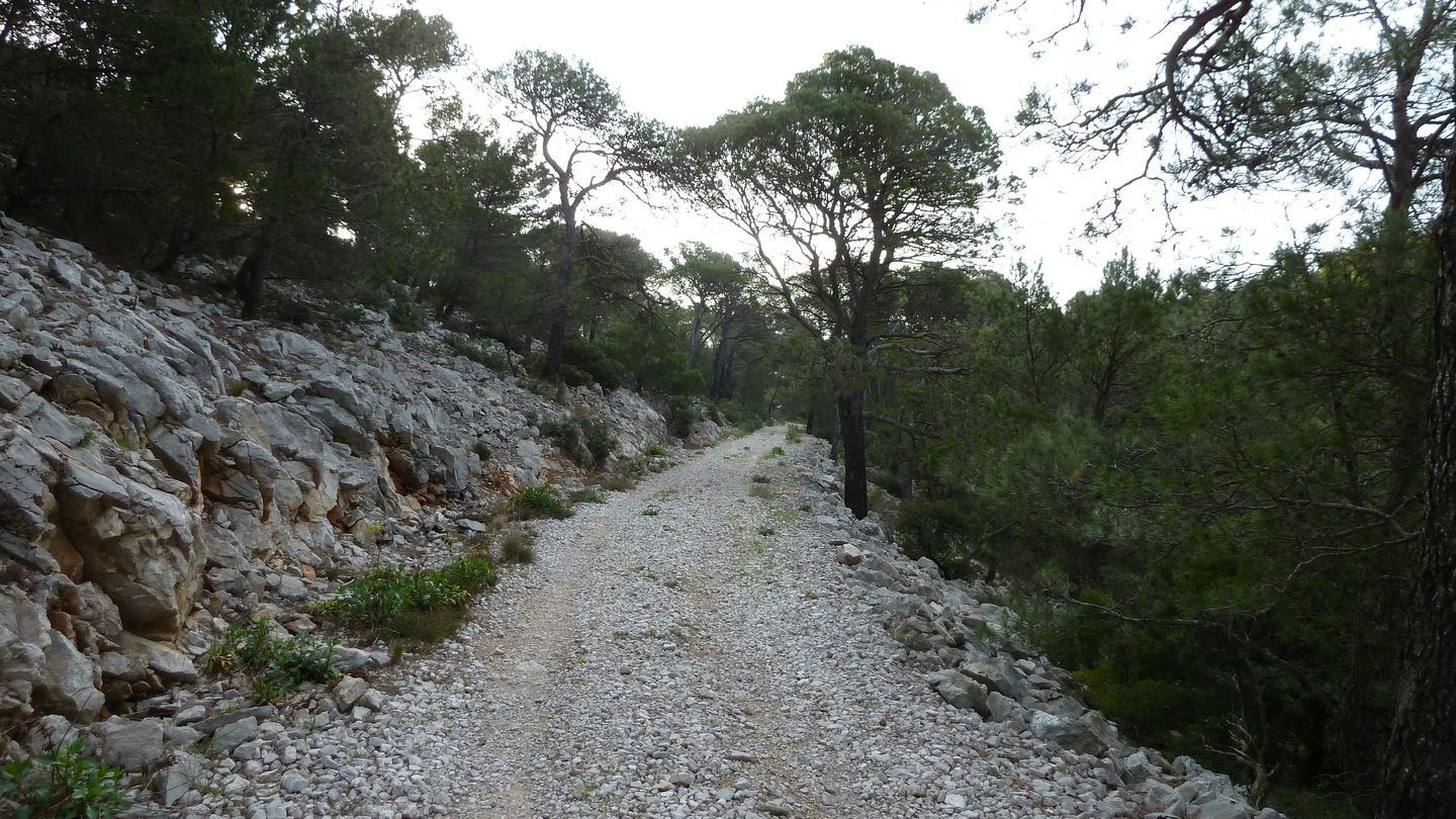 P1000057.JPG