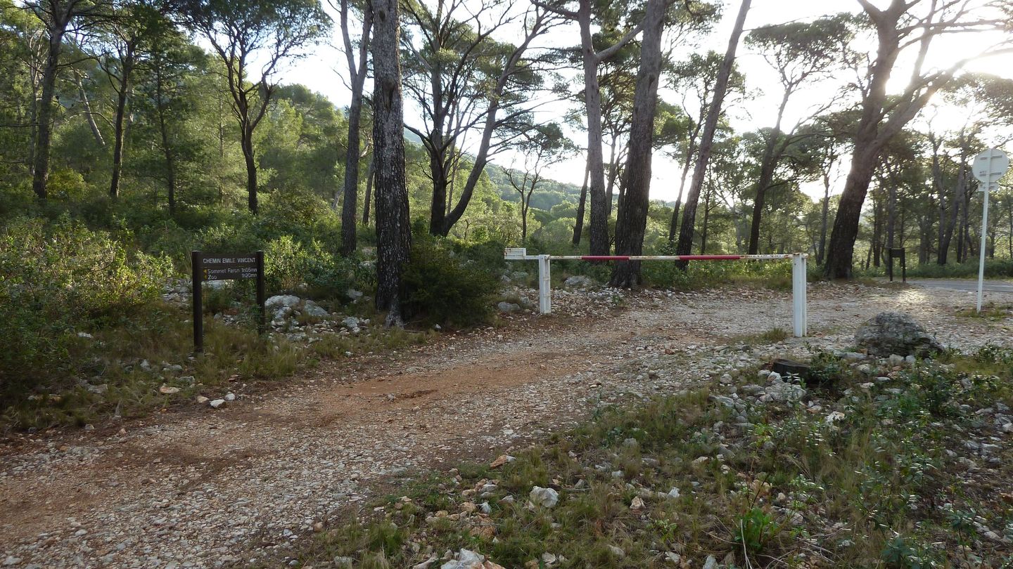 P1000058.JPG